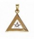 COLGANTE TRIANGULAR DE ORO 750 MLS BICOLOR CON ESCUADRA y COMPÁS - 131012