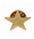 PIN ESTRELLA 5 PUNTAS EN PLATA DE LEY CHAPADO ORO AMARILLO - PIN.1MS1