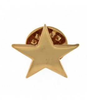 PIN ESTRELLA 5 PUNTAS EN PLATA DE LEY CHAPADO ORO AMARILLO - PIN.1MS1