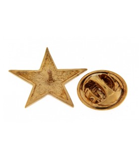 PIN ESTRELLA 5 PUNTAS EN PLATA DE LEY CHAPADO ORO AMARILLO - PIN.1MS1